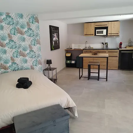 Cosy A Le Vigan-en-quercy, Lot * Le Vigan (Lot)